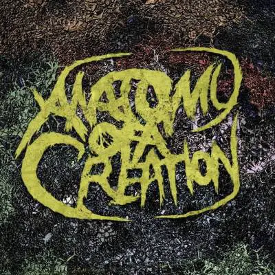 logo Anatomy Of A Creation